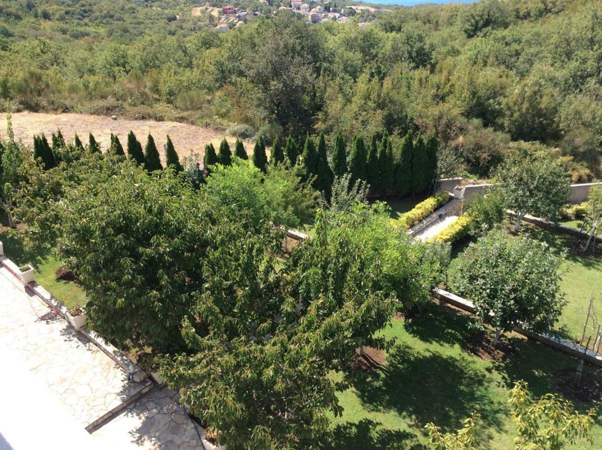 Vila Djordje Lägenhet Sveti Stefan Exteriör bild